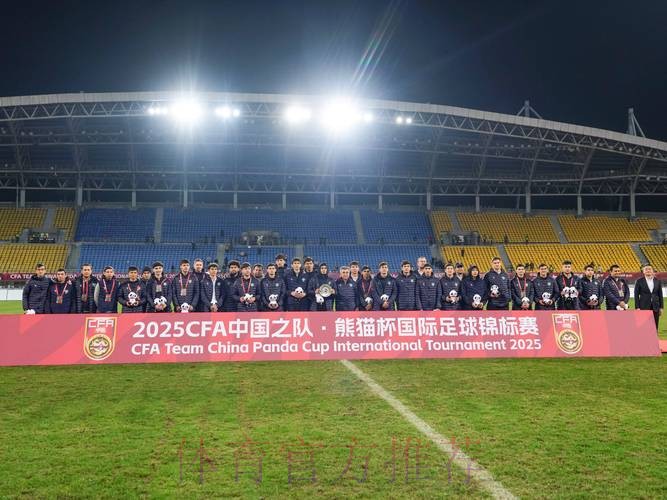 2017年熊猫杯国际青少年足球发展研讨会召开